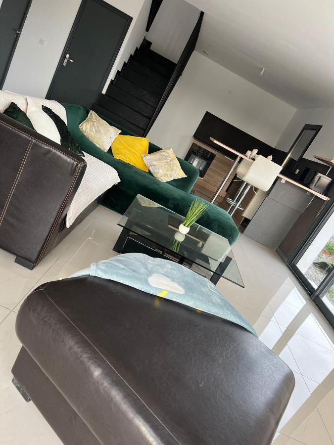 Villa Entiere 4 Chambres Marseillanマルセイヤン エクステリア 写真